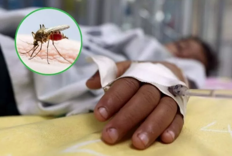 Reportan 8 defunciones por dengue en Tamaulipas